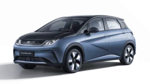 xdolphin 768x432.png.webp.pagespeed.ic.jvsqwzy1xe